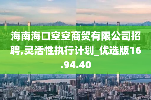 海南海口空空商贸有限公司招聘,灵活性执行计划_优选版16.94.40