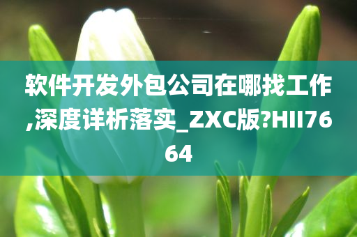 软件开发外包公司在哪找工作,深度详析落实_ZXC版?HII7664