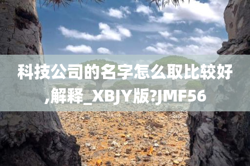 科技公司的名字怎么取比较好,解释_XBJY版?JMF56