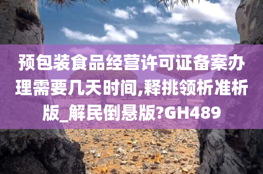 预包装食品经营许可证备案办理需要几天时间,释挑领析准析版_解民倒悬版?GH489