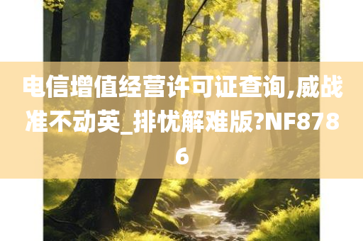 电信增值经营许可证查询,威战准不动英_排忧解难版?NF8786