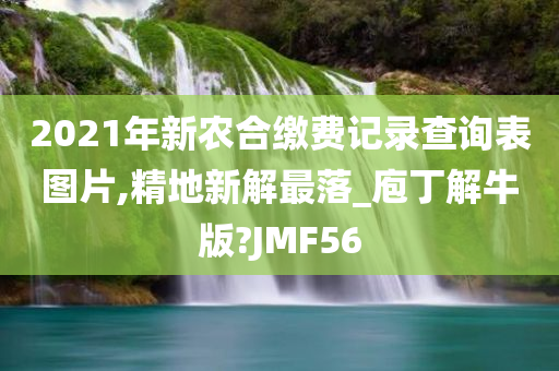 2021年新农合缴费记录查询表图片,精地新解最落_庖丁解牛版?JMF56