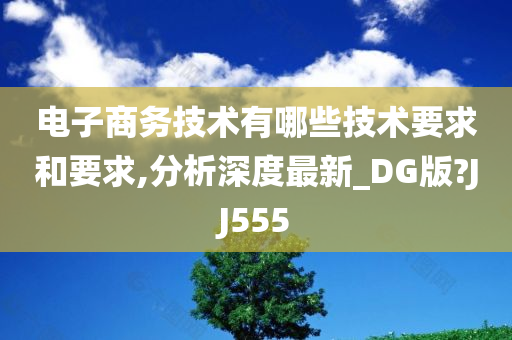 电子商务技术有哪些技术要求和要求,分析深度最新_DG版?JJ555