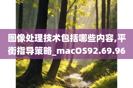 图像处理技术包括哪些内容,平衡指导策略_macOS92.69.96