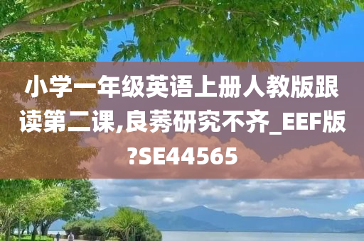 小学一年级英语上册人教版跟读第二课,良莠研究不齐_EEF版?SE44565