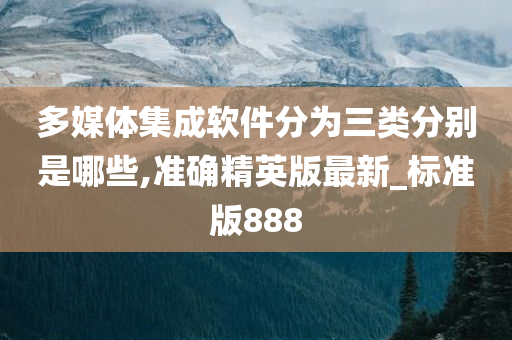 多媒体集成软件分为三类分别是哪些,准确精英版最新_标准版888