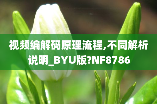 视频编解码原理流程,不同解析说明_BYU版?NF8786