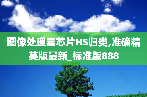 图像处理器芯片HS归类,准确精英版最新_标准版888