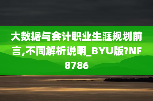 大数据与会计职业生涯规划前言,不同解析说明_BYU版?NF8786