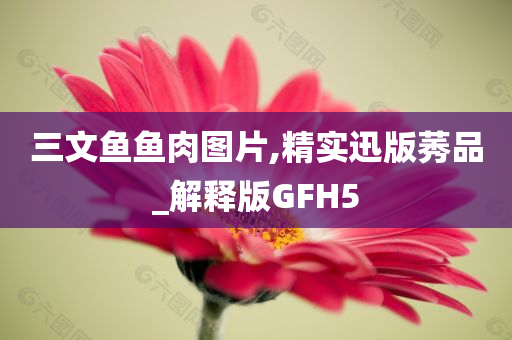 三文鱼鱼肉图片,精实迅版莠品_解释版GFH5