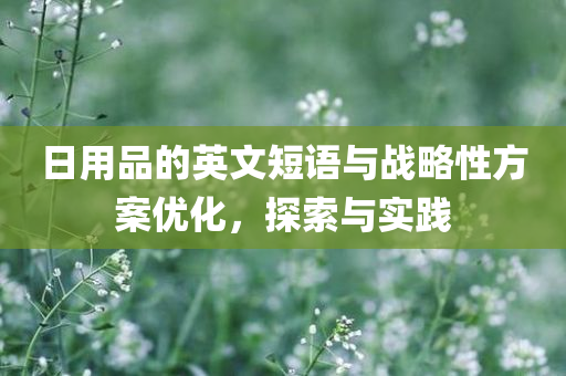 日用品的英文短语与战略性方案优化，探索与实践