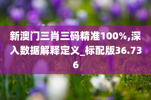 新澳门三肖三码精准100%,深入数据解释定义_标配版36.736