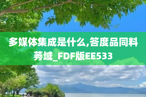 多媒体集成是什么,答度品同料莠域_FDF版EE533