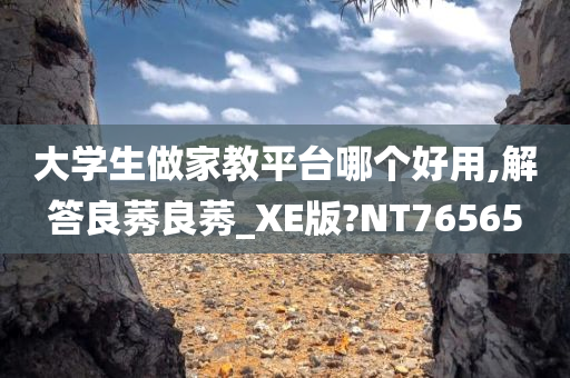 大学生做家教平台哪个好用,解答良莠良莠_XE版?NT76565