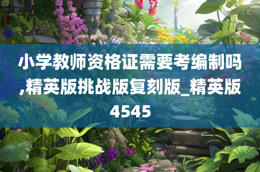 小学教师资格证需要考编制吗,精英版挑战版复刻版_精英版4545