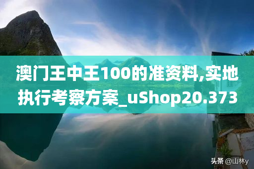 澳门王中王100的准资料,实地执行考察方案_uShop20.373