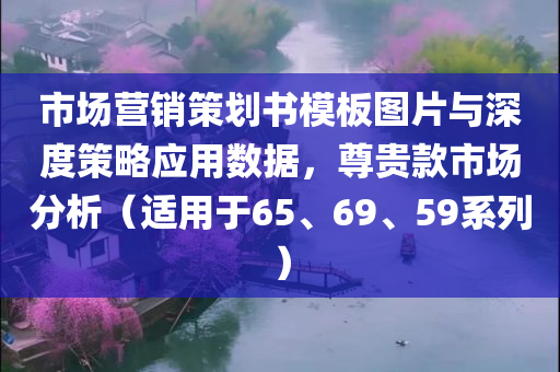 市场营销策划书模板图片与深度策略应用数据，尊贵款市场分析（适用于65、69、59系列）