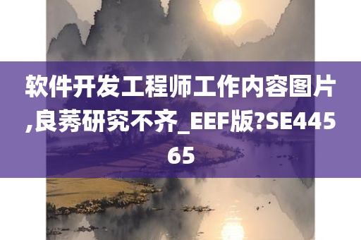 软件开发工程师工作内容图片,良莠研究不齐_EEF版?SE44565