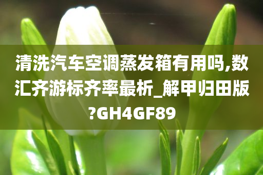 清洗汽车空调蒸发箱有用吗,数汇齐游标齐率最析_解甲归田版?GH4GF89