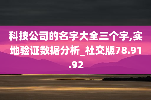 科技公司的名字大全三个字,实地验证数据分析_社交版78.91.92