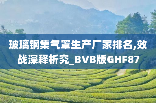 玻璃钢集气罩生产厂家排名,效战深释析究_BVB版GHF87