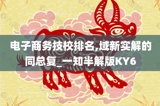 电子商务技校排名,域新实解的同总复_一知半解版KY6