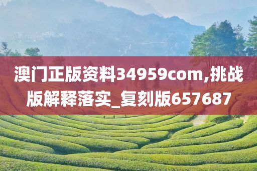 澳门正版资料34959com,挑战版解释落实_复刻版657687