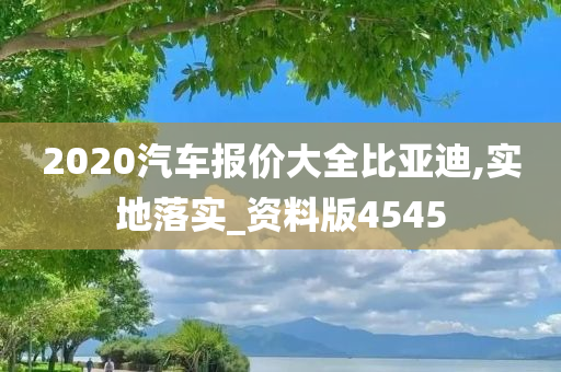 2020汽车报价大全比亚迪,实地落实_资料版4545