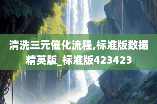 清洗三元催化流程,标准版数据精英版_标准版423423