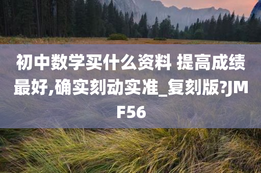 初中数学买什么资料 提高成绩最好,确实刻动实准_复刻版?JMF56