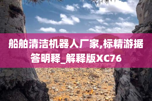 船舶清洁机器人厂家,标精游据答明释_解释版XC76