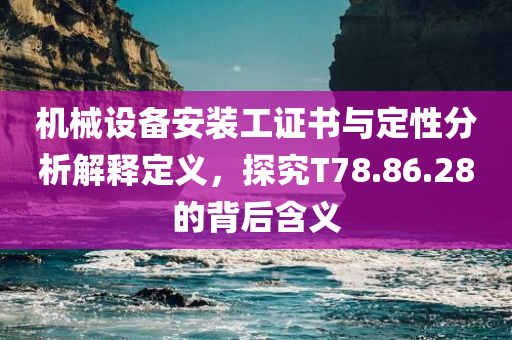 机械设备安装工证书与定性分析解释定义，探究T78.86.28的背后含义