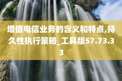 增值电信业务的含义和特点,持久性执行策略_工具版57.73.33