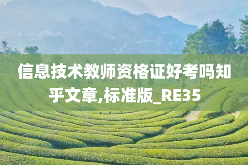 信息技术教师资格证好考吗知乎文章,标准版_RE35