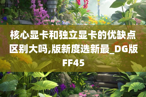 核心显卡和独立显卡的优缺点区别大吗,版新度选新最_DG版FF45