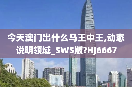 今天澳门出什么马王中王,动态说明领域_SWS版?HJ6667