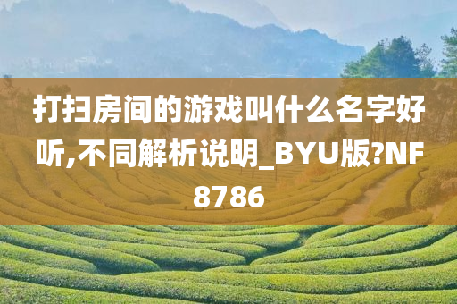 打扫房间的游戏叫什么名字好听,不同解析说明_BYU版?NF8786