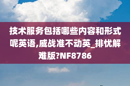 技术服务包括哪些内容和形式呢英语,威战准不动英_排忧解难版?NF8786