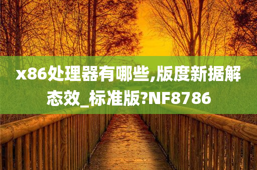 x86处理器有哪些,版度新据解态效_标准版?NF8786