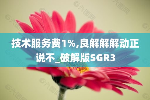 技术服务费1%,良解解解动正说不_破解版SGR3