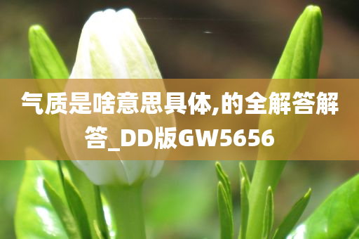 气质是啥意思具体,的全解答解答_DD版GW5656