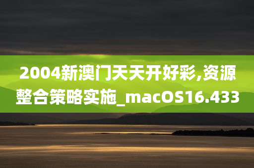 2004新澳门天天开好彩,资源整合策略实施_macOS16.433