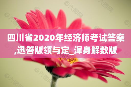 四川省2020年经济师考试答案,迅答版领与定_浑身解数版