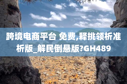 跨境电商平台 免费,释挑领析准析版_解民倒悬版?GH489