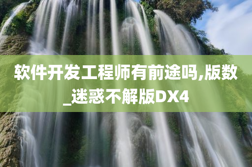 软件开发工程师有前途吗,版数_迷惑不解版DX4