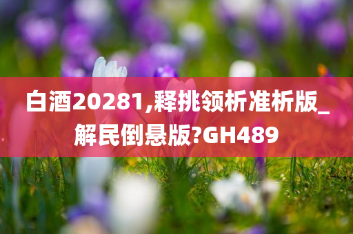 白酒20281,释挑领析准析版_解民倒悬版?GH489