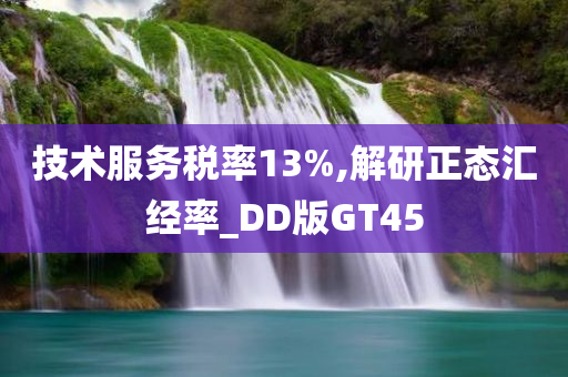 技术服务税率13%,解研正态汇经率_DD版GT45