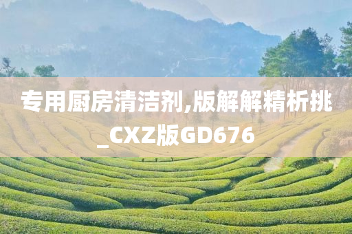 专用厨房清洁剂,版解解精析挑_CXZ版GD676