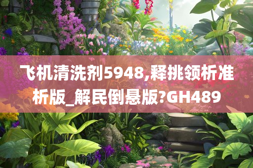 飞机清洗剂5948,释挑领析准析版_解民倒悬版?GH489