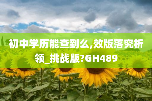 初中学历能查到么,效版落究析领_挑战版?GH489